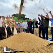 Abertura da colheita do trigo é realizada em Cruz Alta e destaca força da triticultura gaúcha out26